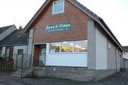 Paws & Claws Image 7