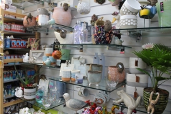 Duns General Store Image 5