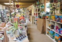 Woodside Plant Centre & Birdhouse Tearoom Image 6