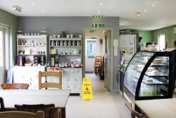 Woodside Plant Centre & Birdhouse Tearoom Image 8