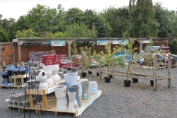 Woodside Plant Centre & Birdhouse Tearoom Image 4
