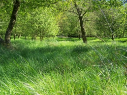 Default Galleryyyy Image 1